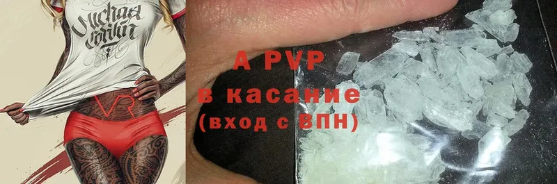 A PVP СК  Братск 